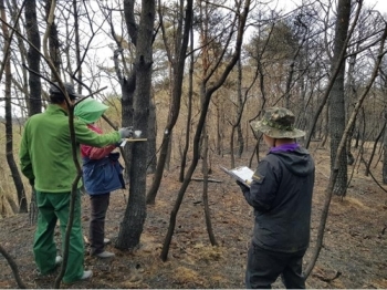 산림조합, 강원도 산불피해지 응급복구·재활 지원 나서