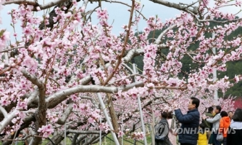 “산불피해지역 여행이 자원봉사입니다“…강릉시민단체 호소