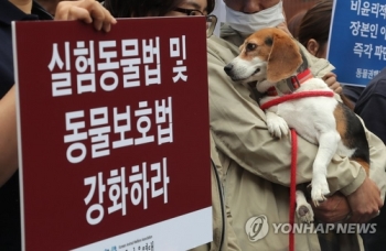 동물보호단체 “'메이'가 한국동물 현실…개 복제사업 중단해야“