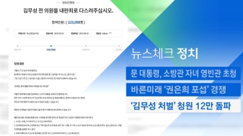 [뉴스체크｜정치] '김무성 처벌' 청원 12만 돌파