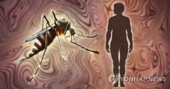 1∼4월 말라리아 환자 작년보다 39%↓…“5월이후 증가 주의“