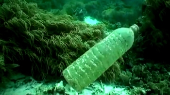 사람이 내려간 '가장 깊은 바다'에도…“비닐 쓰레기“