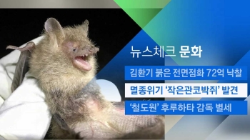 [뉴스체크｜문화] 멸종위기 '작은관코박쥐' 발견