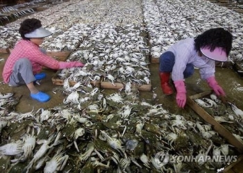 어촌 고령화 심각…전북 어민 감소속 70대 이상은 증가