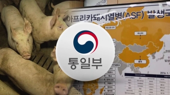 북에 '돼지열병'…통일부 “접경 지역 전파 가능성 대비“