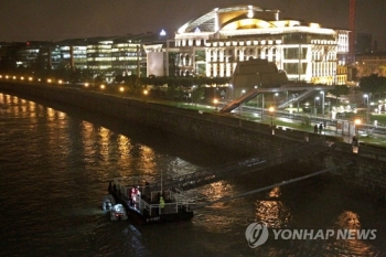 여야, 헝가리유람선 사고 희생자 애도…실종자 구조 총력 당부