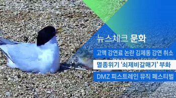 [뉴스체크｜문화] 멸종위기 '쇠제비갈매기' 부화
