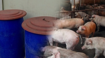 잔반 수거에 덮친 '돼지 열병 우려'…음식물 처리 비상