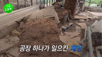 [소셜라이브] “생담배 24시간 피운 셈“…재앙 된 장점마을 비료공장