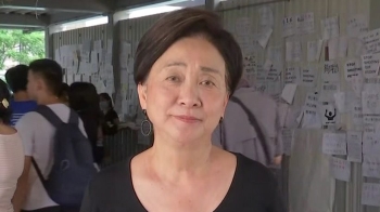 [인터뷰] '친중파' 정당 장악한 홍콩 의회…다른 목소리는?