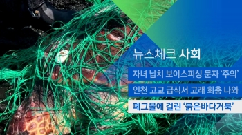 [뉴스체크｜사회] 폐그물에 걸린 '붉은바다거북' 
