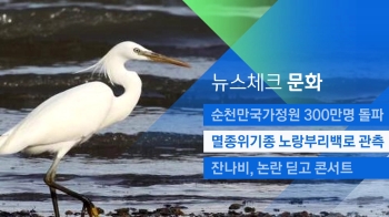 [뉴스체크｜문화] 멸종위기종 노랑부리백로 관측 