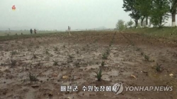 “북한 겨울밀·보리 수확, 평년 대비 20% 이상 줄었을 수도“