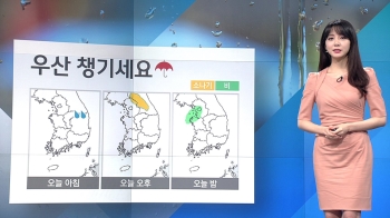 [날씨] '초복' 낮 최고 30도…곳곳 비·소나기
