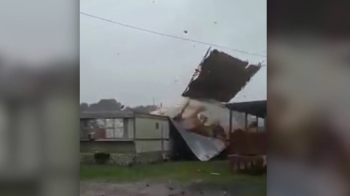 허리케인급 폭풍 '배리' 강타…루이지애나주 피해 속출