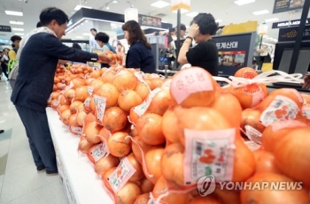 재배면적 줄였지만 역대급 좋은 날씨…커져도 너무 커진 양파