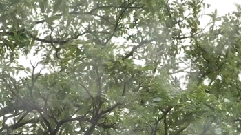 [날씨] 태풍에 전국 흐리고 비…제주·남부 '폭우' 예고