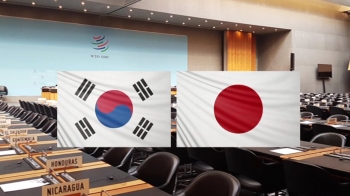 WTO '일 수출 규제' 정식 논의…한·일 팽팽한 신경전