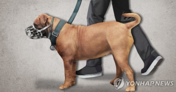 개에 물리고 목줄에 넘어지고…개 주인들 잇따라 벌금형