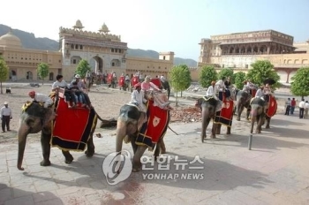 “코끼리 좀 그만 괴롭혀요“…인도 자이푸르서 자전거 시위