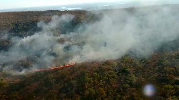 [해외 이모저모] 브라질 아마존 3주째 산불…비상사태