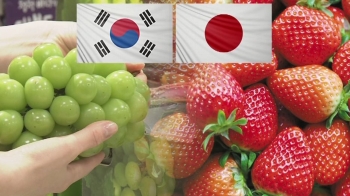 딸기·포도로 확전?…“한국이 일본산 무단재배“ 엉뚱 주장