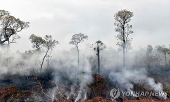 브라질 이웃 볼리비아도 숯덩이…올해만 3만8천여건 산불