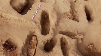 제물로 바쳐진 아이들…페루 유적지서 227구 유해 발굴