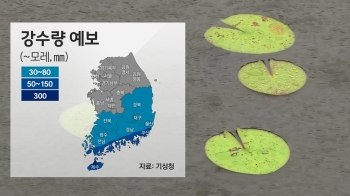 [날씨] 선선한 '가을 날씨'…남부지방엔 비 소식
