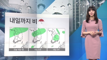 [날씨] 경기 북부·인천 '호우특보'…내일까지 곳곳 많은 비