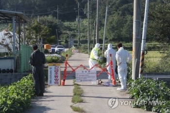 “파주서 발병한 ASF '북한 유입' 가능성 크다“