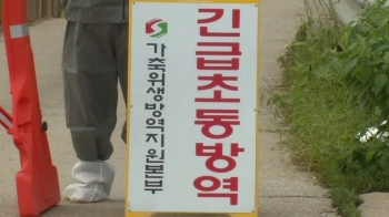[이 시각 뉴스룸] 파주 농가서 첫 '돼지열병'…3900여 마리 '살처분'