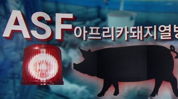 총력 방역에도 결국 뚫린 돼지열병…“살처분·이동중지“