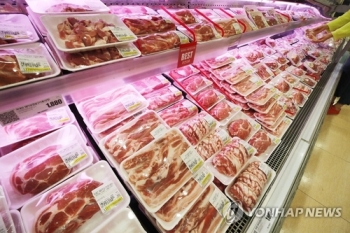 아프리카돼지열병에 제주 돼지고기 가격 하루 만에 31.3％↑