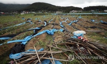 태풍 '링링' 피해 강화군·신안군 흑산면 특별재난지역 선포