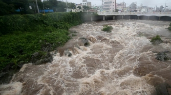 최대 800㎜ '물폭탄'…제주 지나간 '타파'에 곳곳 피해