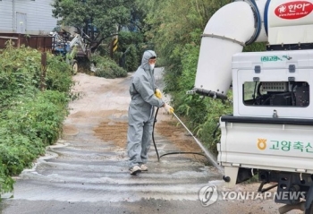 '한강 이남' 김포서 아프리카돼지열병 의심 신고…방역 초비상