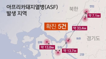 인천 강화서 '5번째 확진'…돼지열병, 섬 지역도 뚫렸다