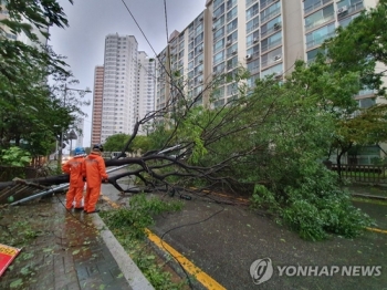 가을 태풍 또 오나…괌 남동쪽 열대저압부 발생