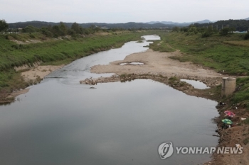 환경과학원 “임진강 등 접경하천서 ASF 바이러스 검출 안돼“