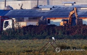 김포 통진읍 돼지열병 추가 확진…2만2천마리 살처분