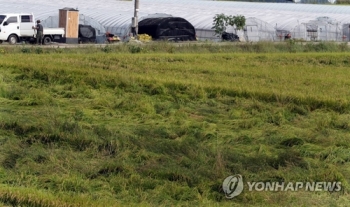 태풍 지나간 경남…곳곳에 생채기 남았지만 빠른 회복세