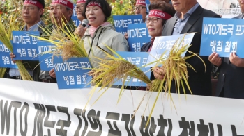 WTO 농업분야 개도국 지위 '포기' 가닥…농민들 반발