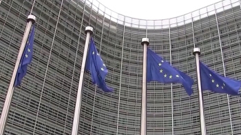 EU, 브렉시트 3개월 연기 합의…영 하원, 조기총선 또 부결