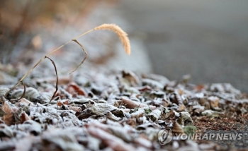 '입동' 추위에 강원 기온 뚝…철원 김화 영하 8도