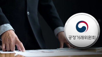 지주사 밖 총수 회사…'일감 몰아주기' '편법 지배' 우려 여전
