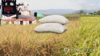 쌀 관세율 513% 확정…“밥쌀 일부 수입 불가피, 영향 최소화“