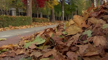 [뉴스미션] 낙엽도 자원인데…생활쓰레기가 재활용 걸림돌
