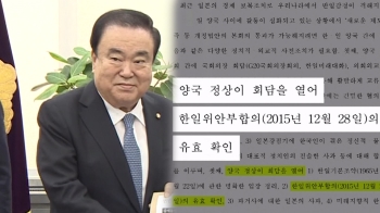 '강제동원' 문희상 안 초안에 “위안부 합의 유효화“ 논란