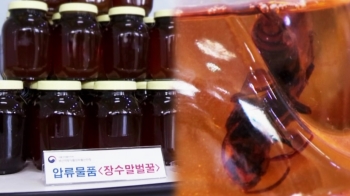 '꿀에 절인 말벌'이 특효약?…팔아선 안 될 '독약'